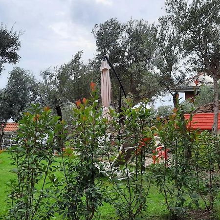 Poggio Degli Ulivi Διαμέρισμα Γένοβα Εξωτερικό φωτογραφία